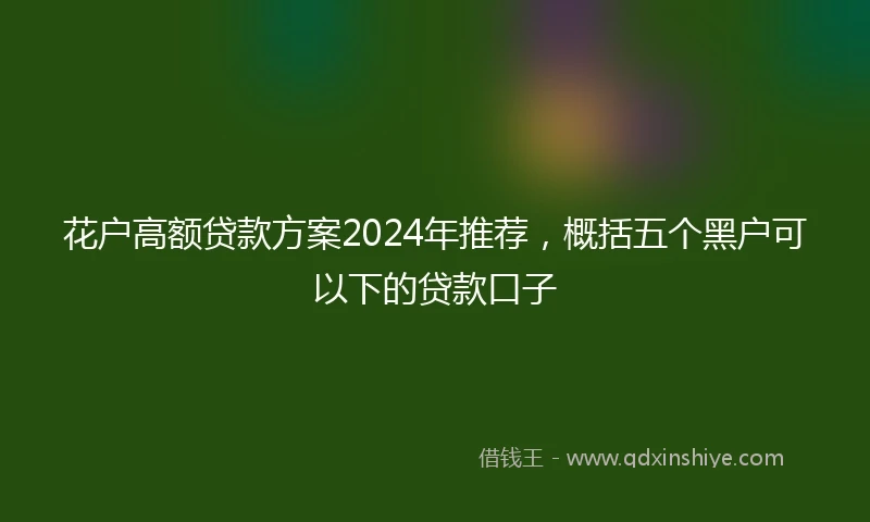 花户高额贷款方案2024年推荐，概括五个黑户可以下的贷款口子