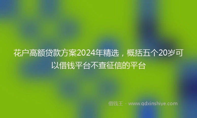 花户高额贷款方案2024年精选，概括五个20岁可以借钱平台不查征信的平台