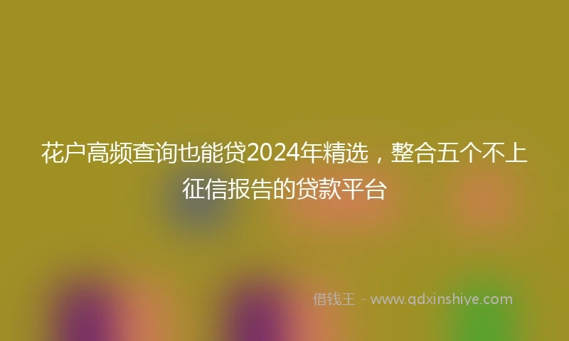 花户高频查询也能贷2024年精选，整合五个不上征信报告的贷款平台