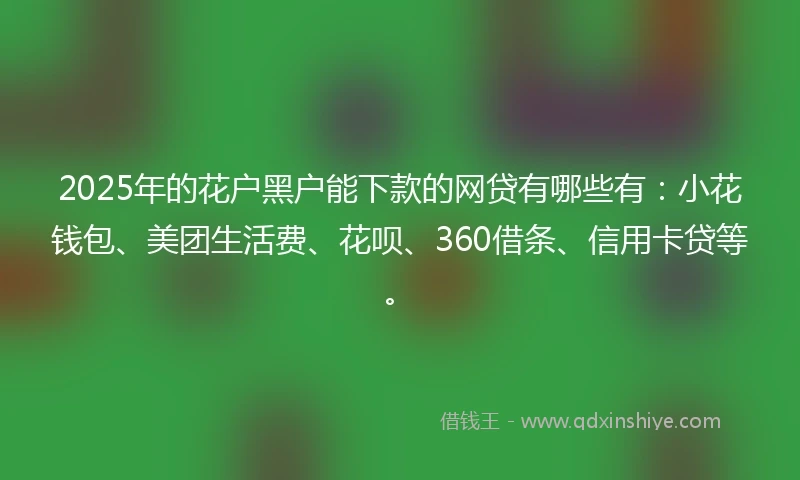 2025年的花户黑户能下款的网贷有哪些有：小花钱包、美团生活费、花呗、360借条、信用卡贷等。