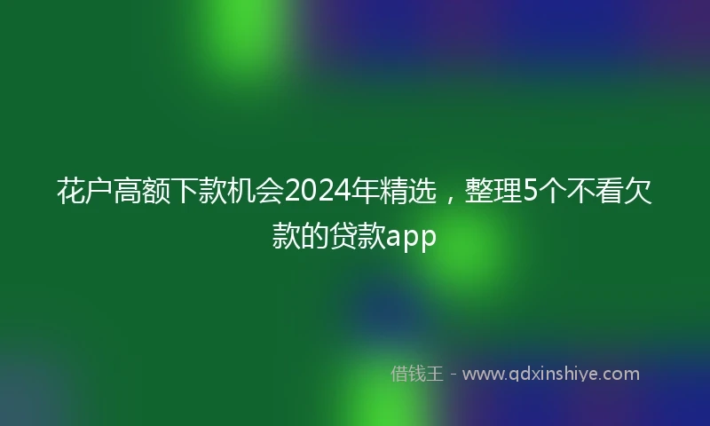 花户高额下款机会2024年精选，整理5个不看欠款的贷款app