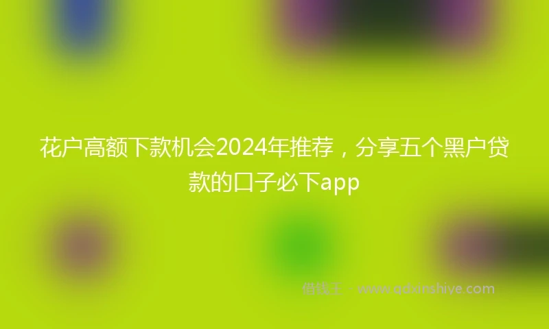 花户高额下款机会2024年推荐，分享五个黑户贷款的口子必下app