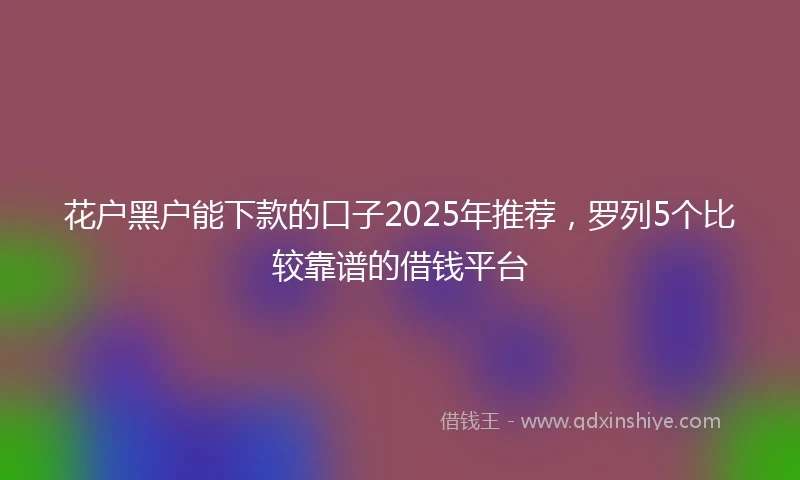 花户黑户能下款的口子2025年推荐，罗列5个比较靠谱的借钱平台