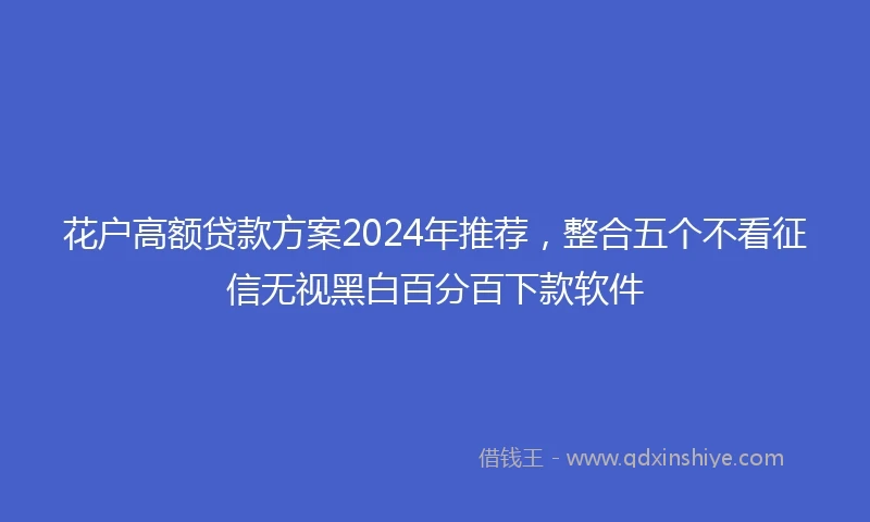 花户高额贷款方案2024年推荐，整合五个不看征信无视黑白百分百下款软件