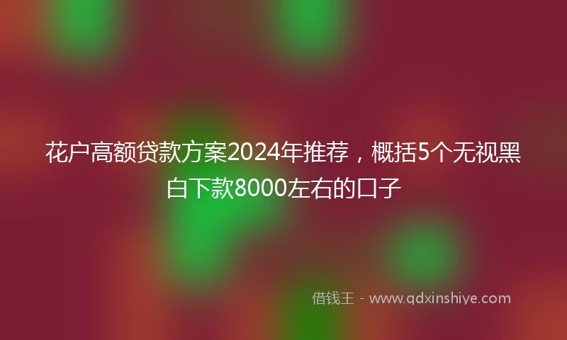 花户高额贷款方案2024年推荐，概括5个无视黑白下款8000左右的口子