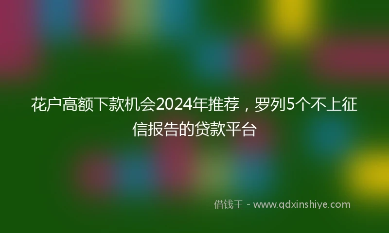 花户高额下款机会2024年推荐，罗列5个不上征信报告的贷款平台