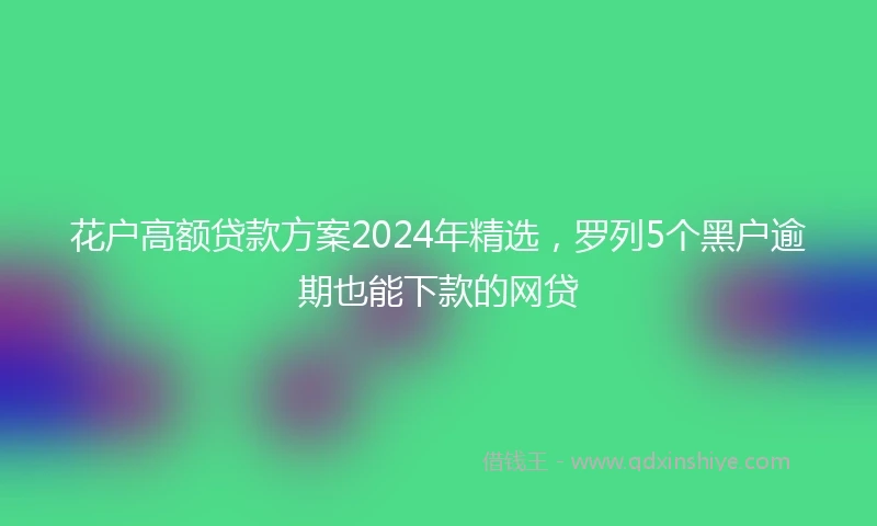 花户高额贷款方案2024年精选，罗列5个黑户逾期也能下款的网贷