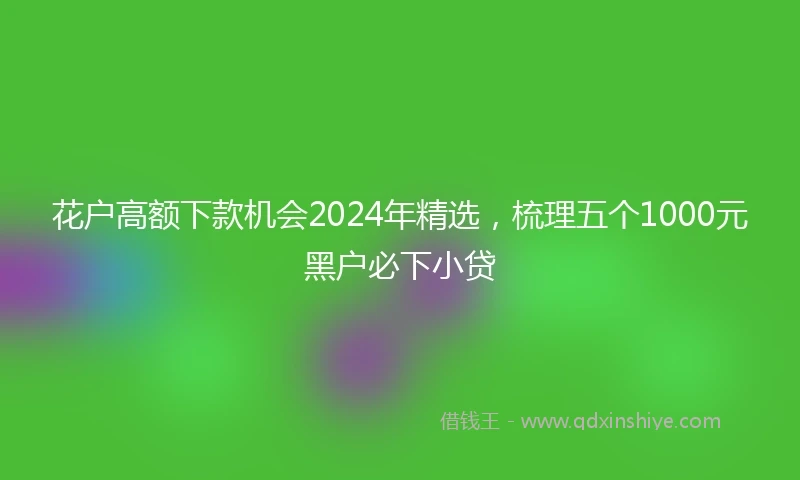 花户高额下款机会2024年精选，梳理五个1000元黑户必下小贷