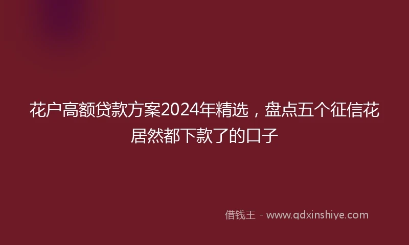 花户高额贷款方案2024年精选，盘点五个征信花居然都下款了的口子