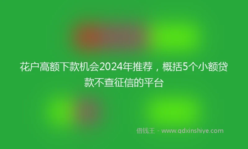 花户高额下款机会2024年推荐，概括5个小额贷款不查征信的平台