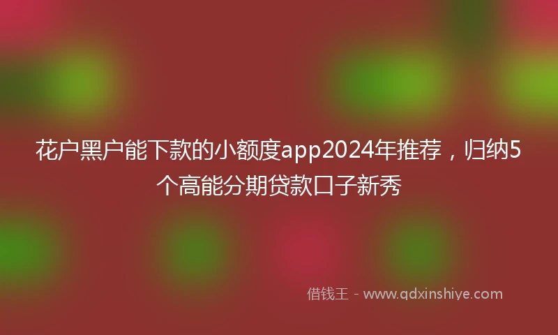 花户黑户能下款的小额度app2024年推荐，归纳5个高能分期贷款口子新秀