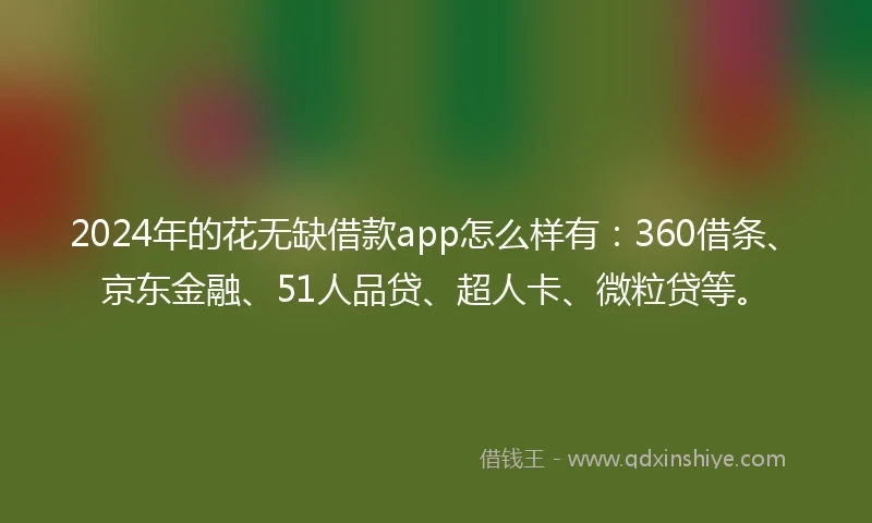 2024年的花无缺借款app怎么样有：360借条、京东金融、51人品贷、超人卡、微粒贷等。