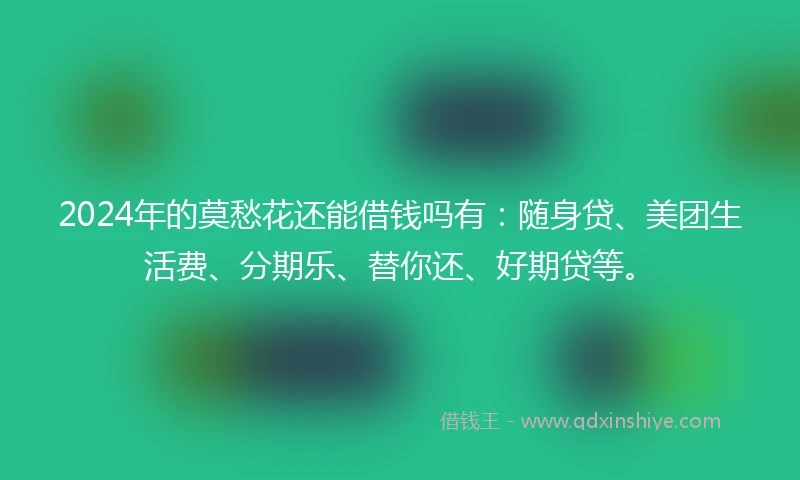 2024年的莫愁花还能借钱吗有：随身贷、美团生活费、分期乐、替你还、好期贷等。