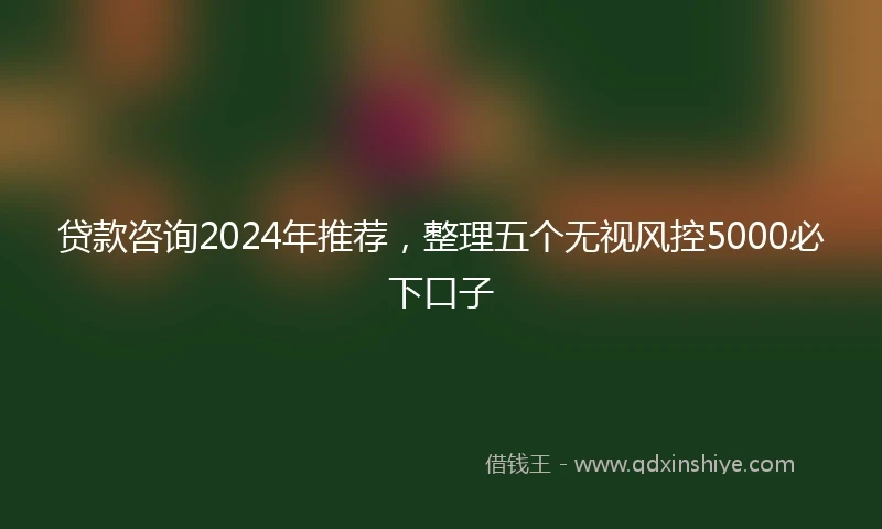 贷款咨询2024年推荐，整理五个无视风控5000必下口子