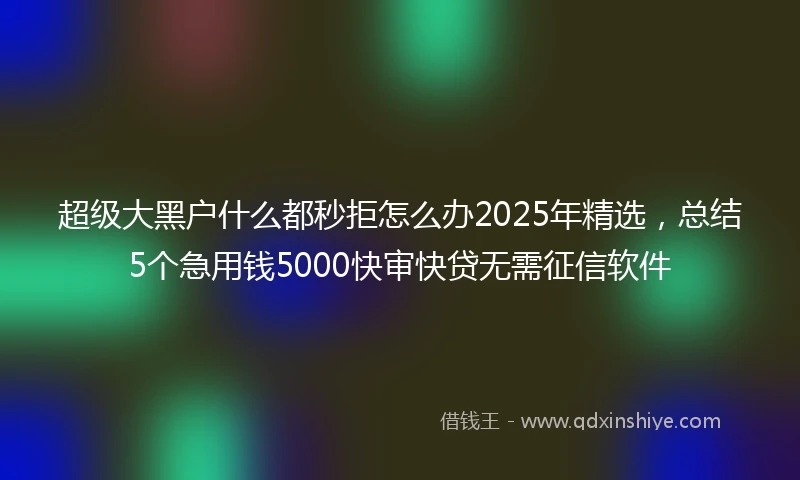 超级大黑户什么都秒拒怎么办2025年精选，总结5个急用钱5000快审快贷无需征信软件