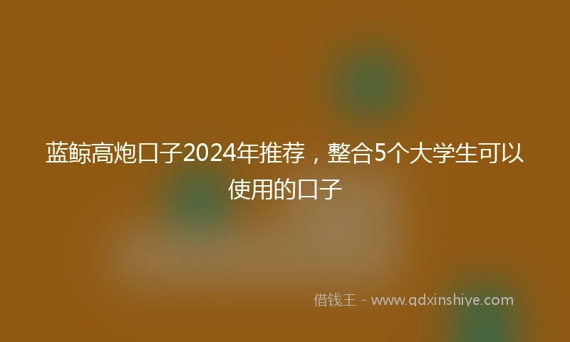 蓝鲸高炮口子2024年推荐，整合5个大学生可以使用的口子