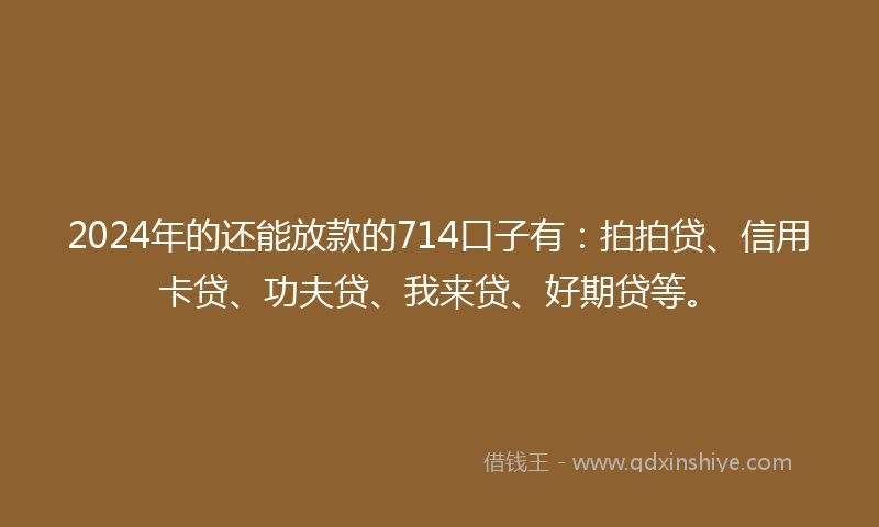 2024年的还能放款的714口子有：拍拍贷、信用卡贷、功夫贷、我来贷、好期贷等。