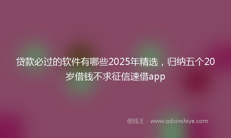贷款必过的软件有哪些2025年精选，归纳五个20岁借钱不求征信速借app