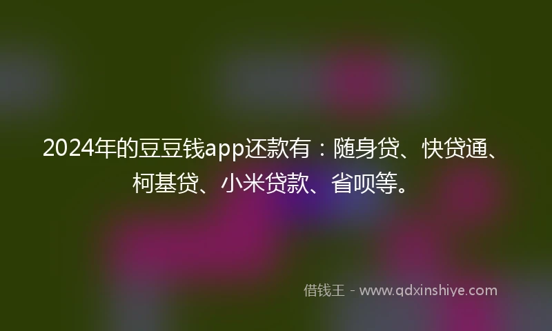 2024年的豆豆钱app还款有：随身贷、快贷通、柯基贷、小米贷款、省呗等。