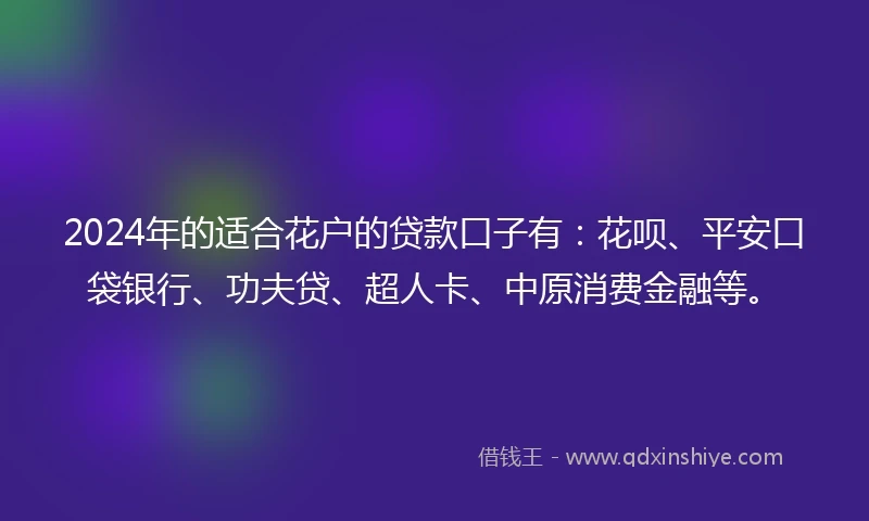 2024年的适合花户的贷款口子有：花呗、平安口袋银行、功夫贷、超人卡、中原消费金融等。