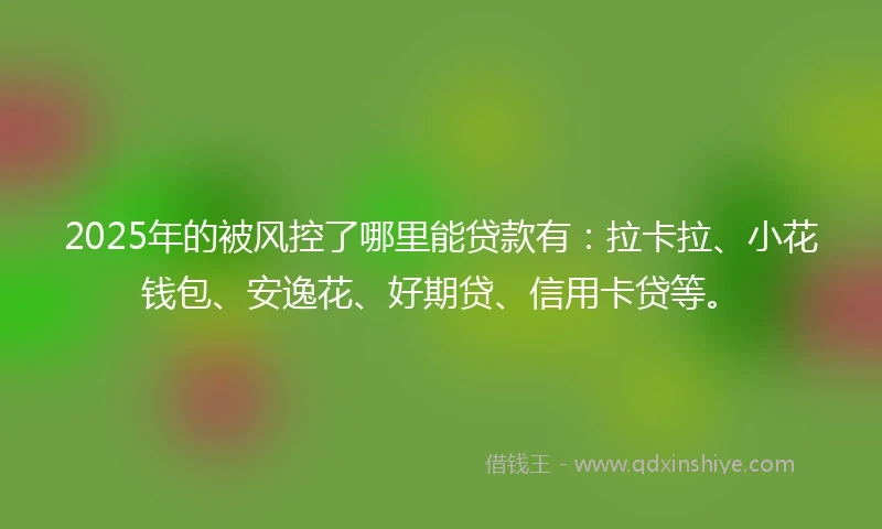 2025年的被风控了哪里能贷款有：拉卡拉、小花钱包、安逸花、好期贷、信用卡贷等。