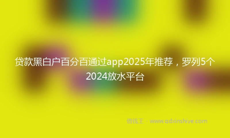 贷款黑白户百分百通过app2025年推荐，罗列5个2024放水平台