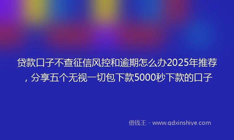 贷款口子不查征信风控和逾期怎么办2025年推荐，分享五个无视一切包下款5000秒下款的口子