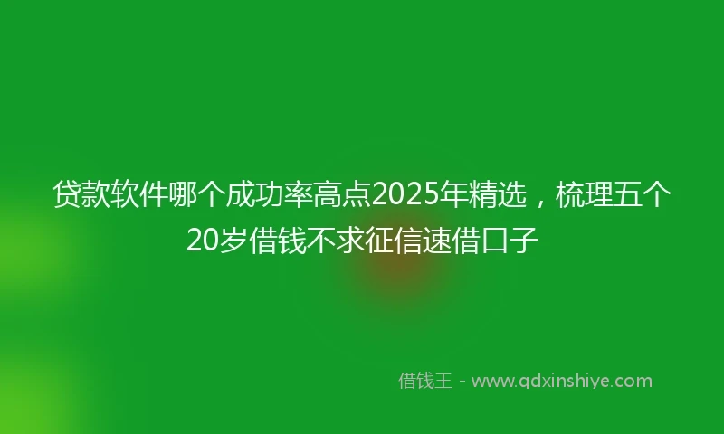 贷款软件哪个成功率高点2025年精选，梳理五个20岁借钱不求征信速借口子