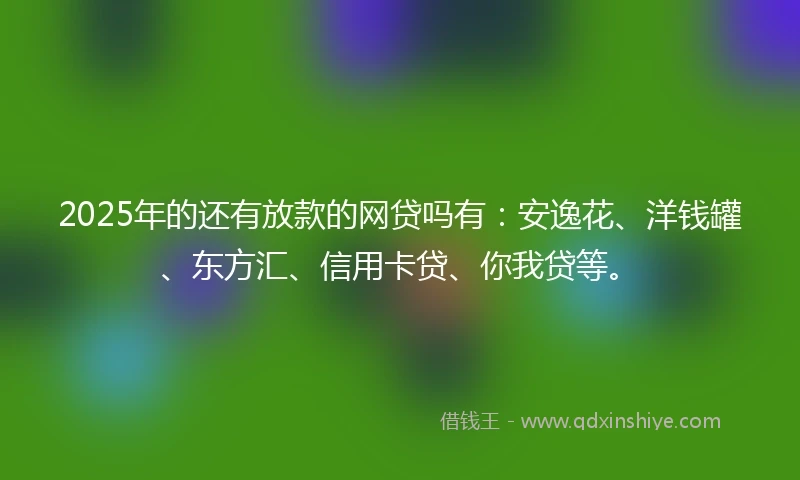 2025年的还有放款的网贷吗有：安逸花、洋钱罐、东方汇、信用卡贷、你我贷等。