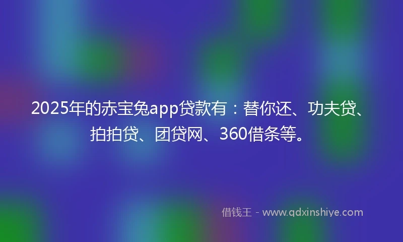 2025年的赤宝兔app贷款有：替你还、功夫贷、拍拍贷、团贷网、360借条等。