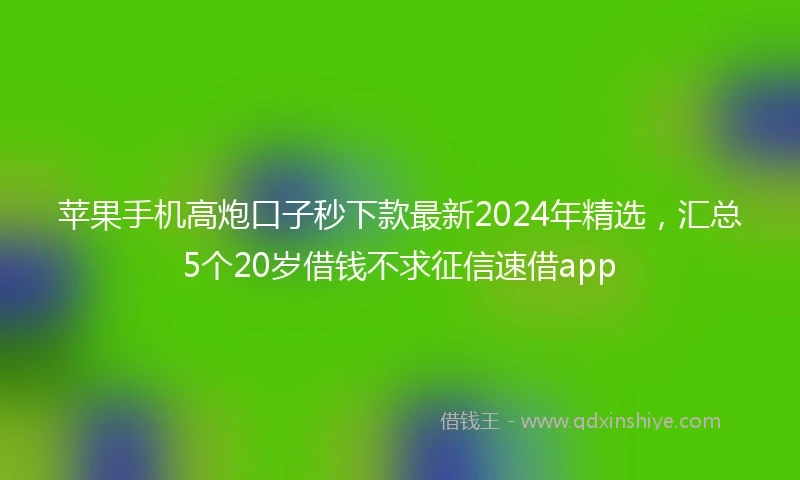 苹果手机高炮口子秒下款最新2024年精选，汇总5个20岁借钱不求征信速借app