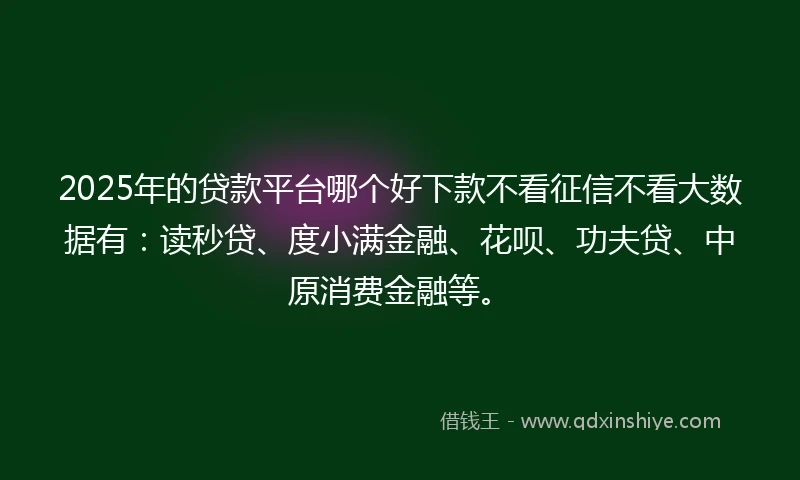 2025年的贷款平台哪个好下款不看征信不看大数据有：读秒贷、度小满金融、花呗、功夫贷、中原消费金融等。