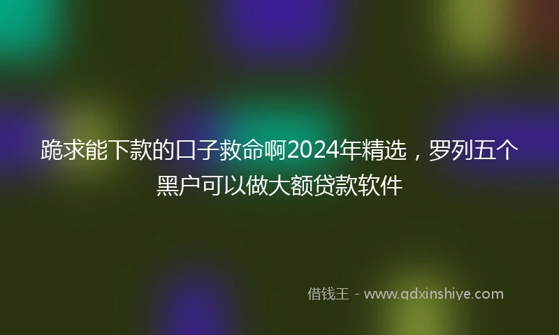 跪求能下款的口子救命啊2024年精选，罗列五个黑户可以做大额贷款软件
