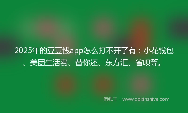 2025年的豆豆钱app怎么打不开了有：小花钱包、美团生活费、替你还、东方汇、省呗等。