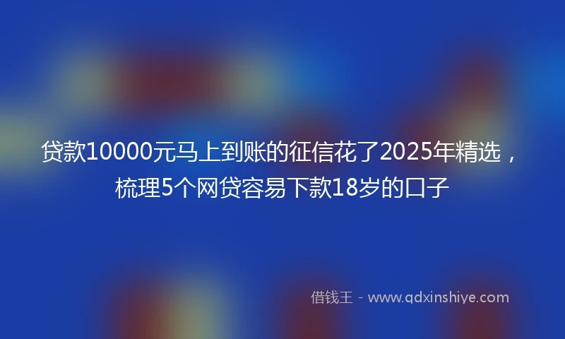 贷款10000元马上到账的征信花了2025年精选，梳理5个网贷容易下款18岁的口子