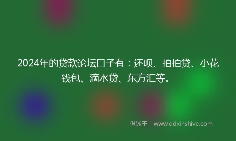 2024年的贷款论坛口子有：还呗、拍拍贷、小花钱包、滴水贷、东方汇等。