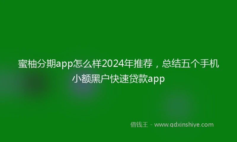 蜜柚分期app怎么样2024年推荐，总结五个手机小额黑户快速贷款app