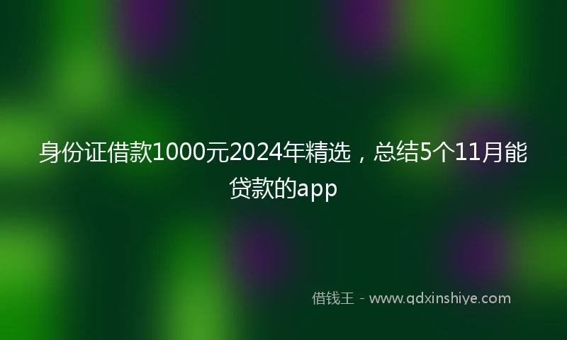 身份证借款1000元2024年精选,总结5个11月能贷款的app