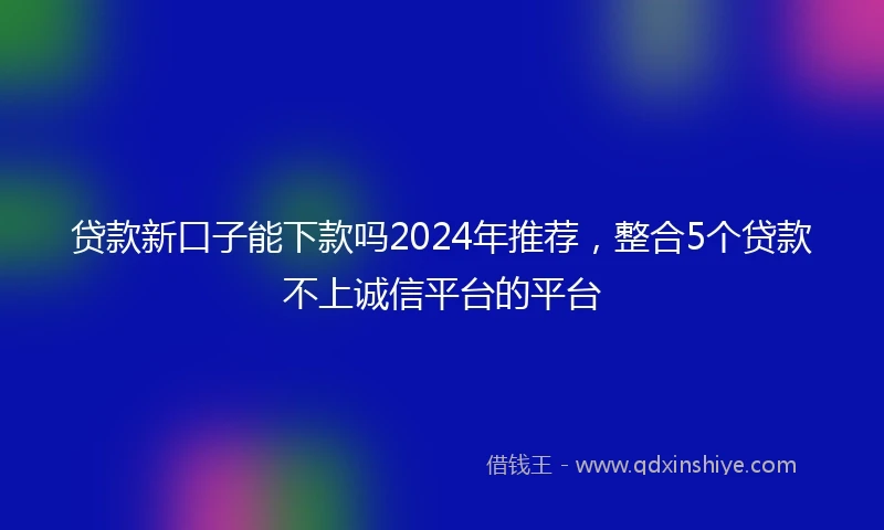 贷款新口子能下款吗2024年推荐，整合5个贷款不上诚信平台的平台