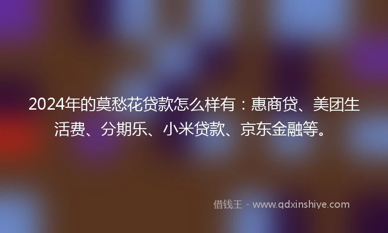 2024年的莫愁花贷款怎么样有：惠商贷、美团生活费、分期乐、小米贷款、京东金融等。