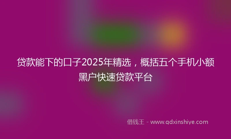 贷款能下的口子2025年精选，概括五个手机小额黑户快速贷款平台