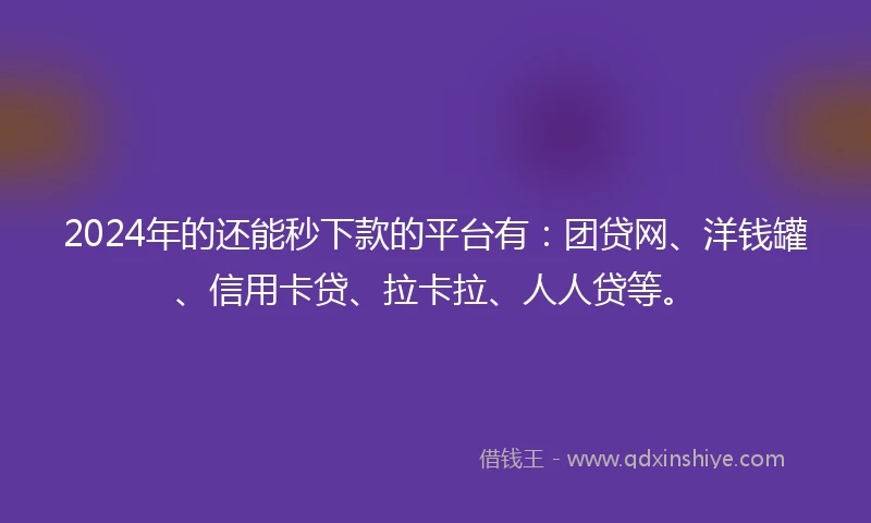 2024年的还能秒下款的平台有：团贷网、洋钱罐、信用卡贷、拉卡拉、人人贷等。