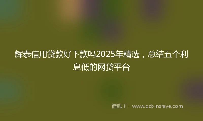 辉泰信用贷款好下款吗2025年精选，总结五个利息低的网贷平台