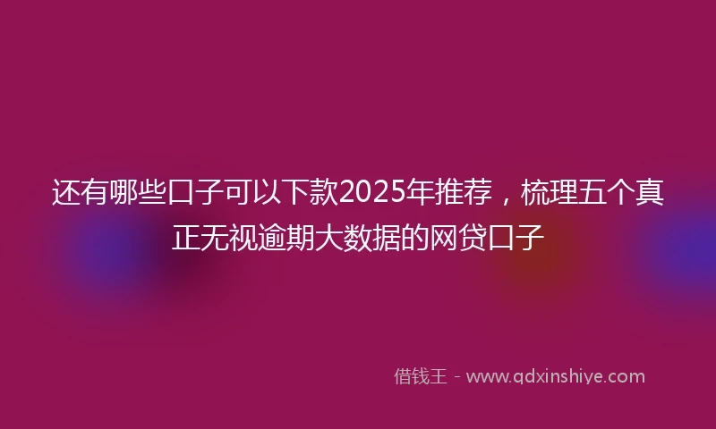 还有哪些口子可以下款2025年推荐，梳理五个真正无视逾期大数据的网贷口子