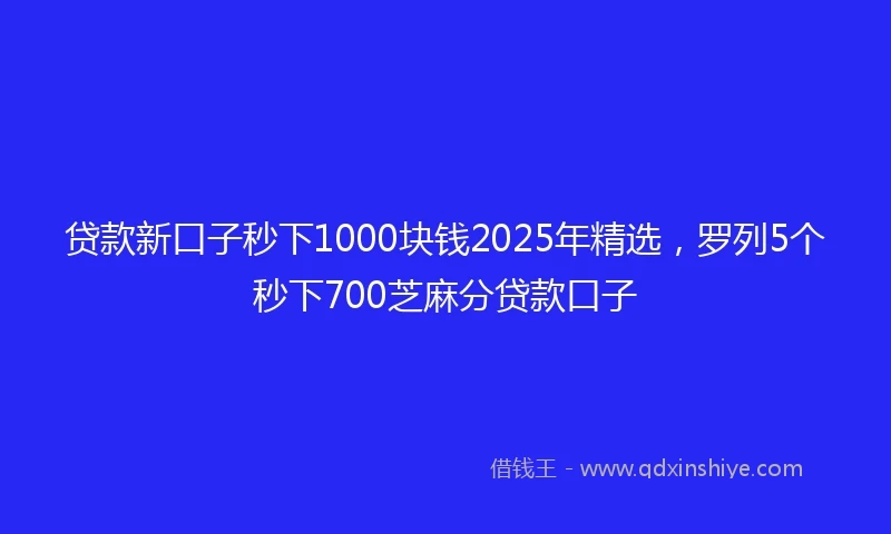 贷款新口子秒下1000块钱2025年精选,罗列5个秒下700芝麻分贷款口子