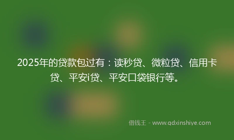 2025年的贷款包过有：读秒贷、微粒贷、信用卡贷、平安i贷、平安口袋银行等。