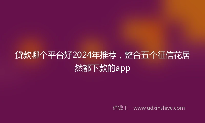 贷款哪个平台好2024年推荐，整合五个征信花居然都下款的app