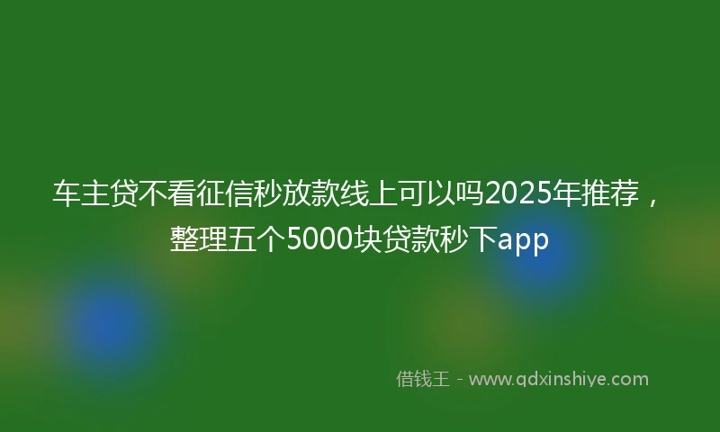 车主贷不看征信秒放款线上可以吗2025年推荐，整理五个5000块贷款秒下app