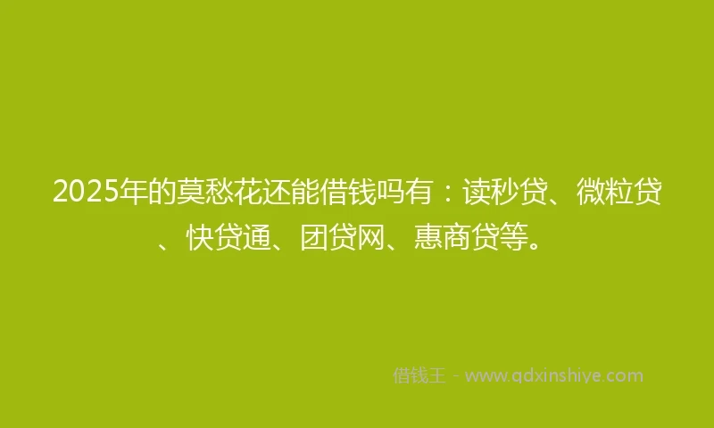 2025年的莫愁花还能借钱吗有：读秒贷、微粒贷、快贷通、团贷网、惠商贷等。