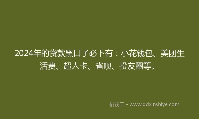 2024年的贷款黑口子必下有：小花钱包、美团生活费、超人卡、省呗、投友圈等。